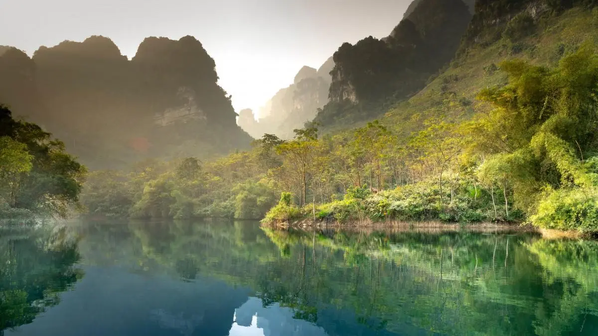 高端高效先进